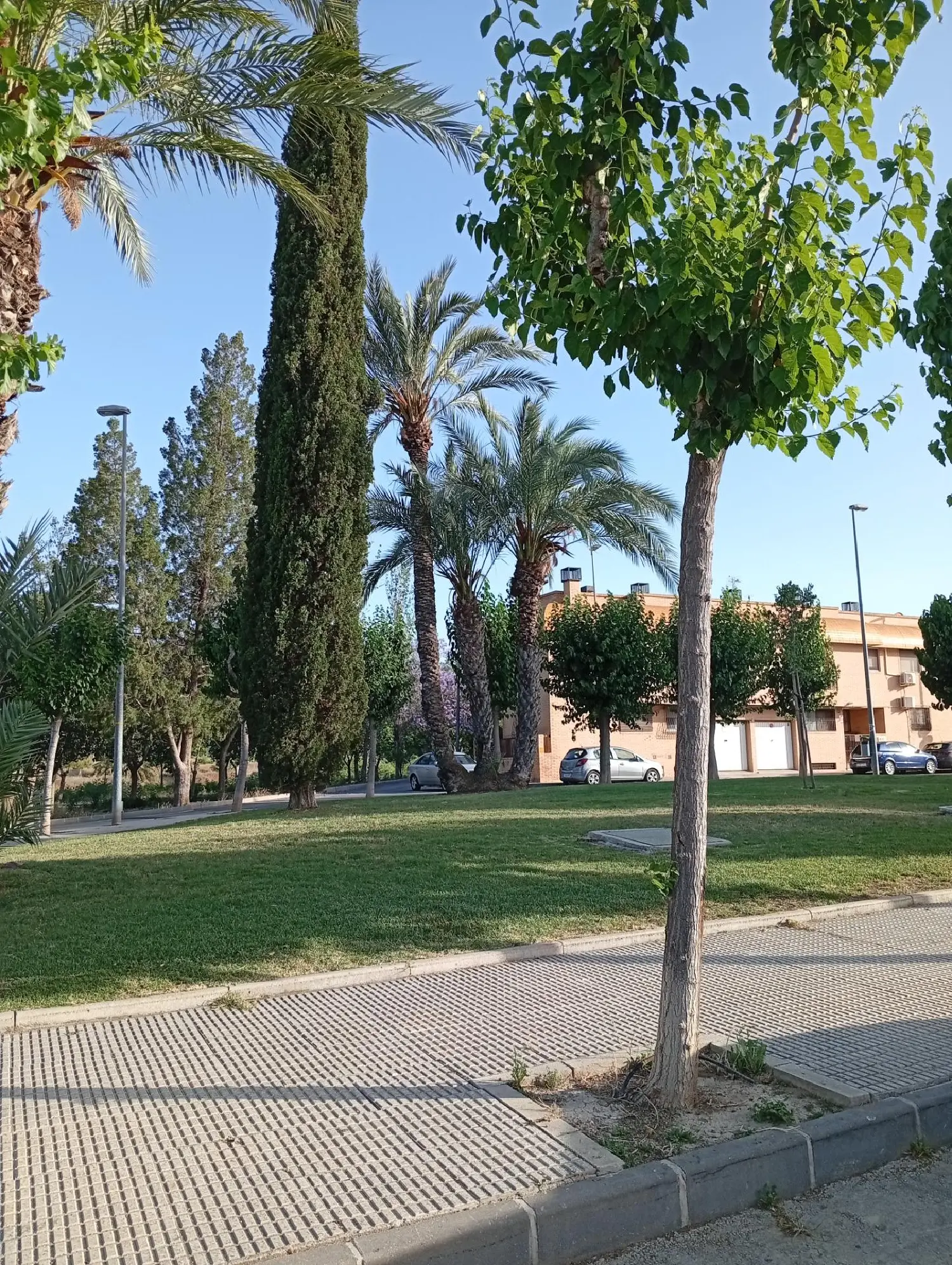 till salu lägenhet El Carmen Huerta De Murcia 3