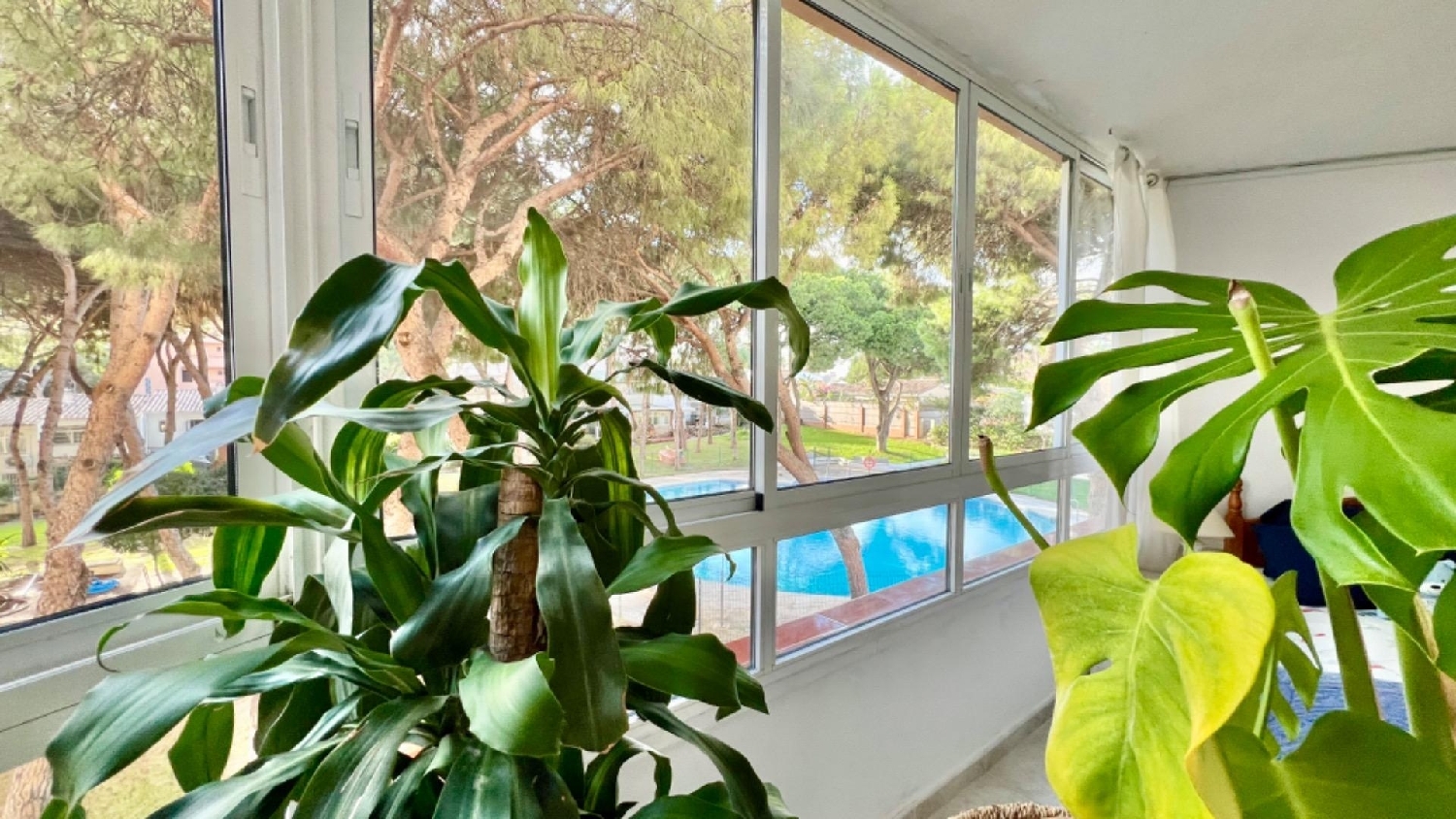  till salu lägenhet El Chaparral Costa Del Sol Occidental 8