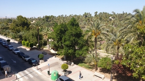 Elche Reina Victoria Baix Vinalopó lägenhet foto 6239833