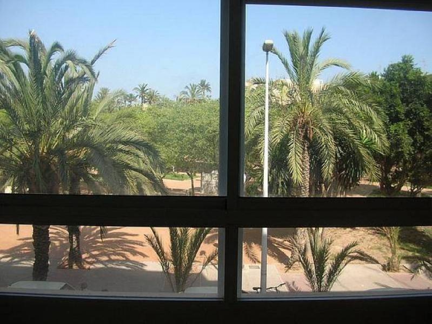  till salu lägenhet Elche Universidad Baix Vinalopó 5