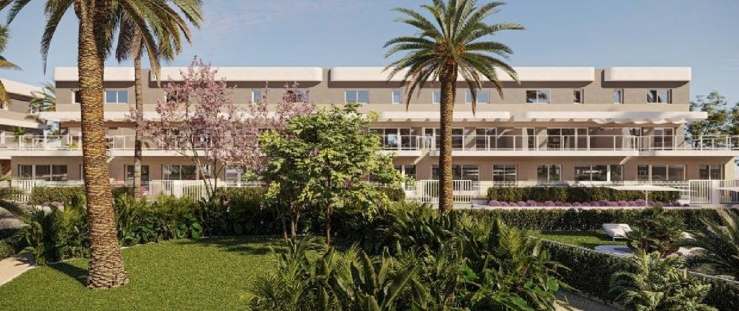  till salu lägenhet Elche Universidad Baix Vinalopó 5