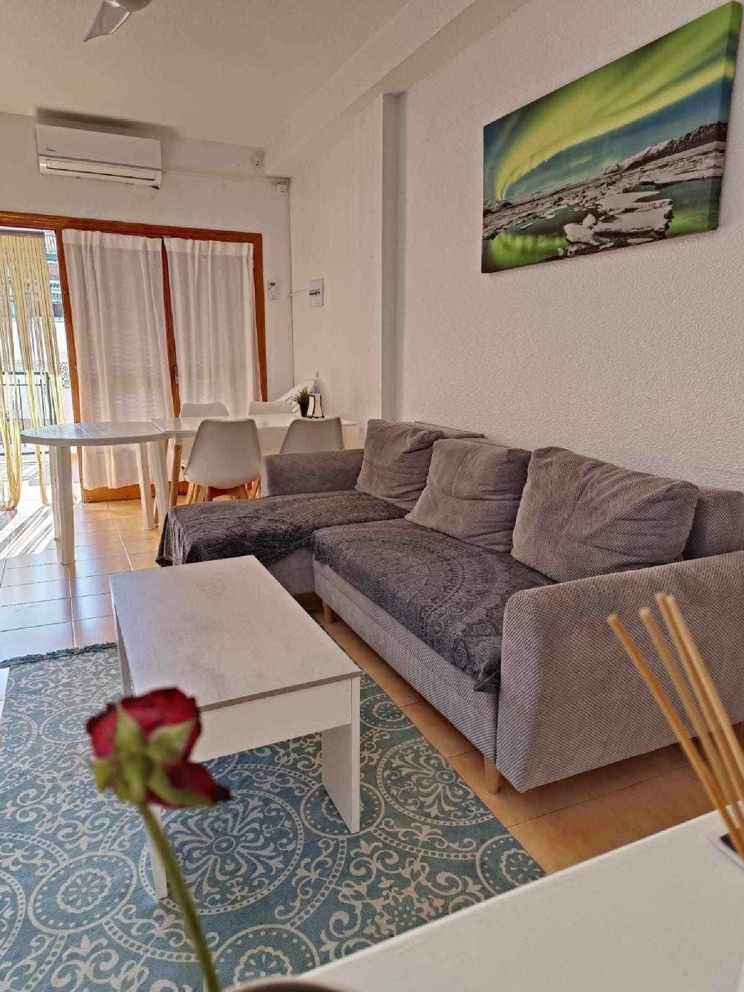  till salu lägenhet Gran Alacant Baix Vinalopó 6