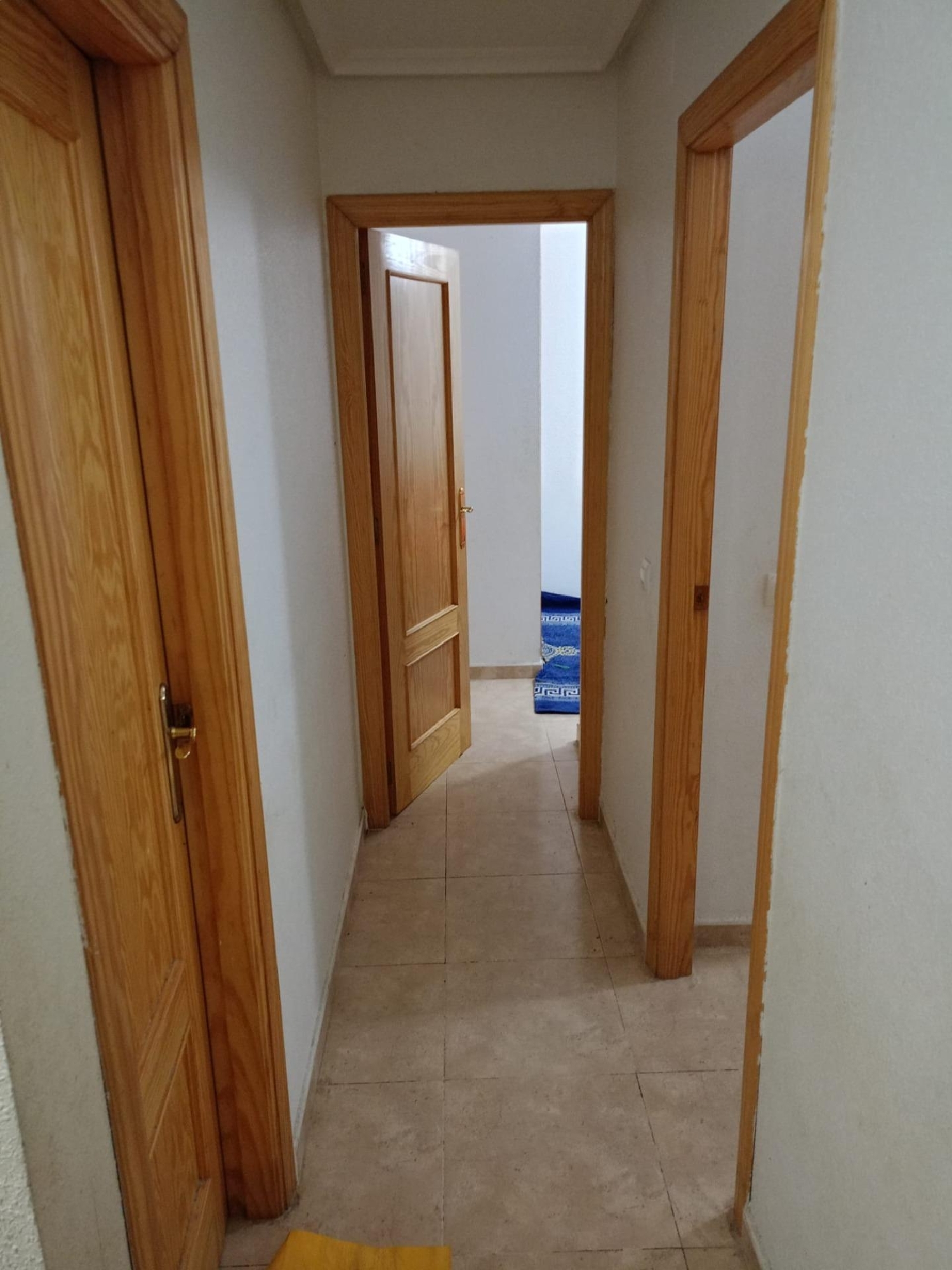  till salu lägenhet Fincas La Vega Baix Segura 2