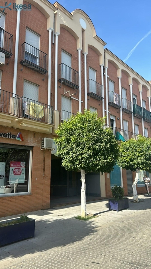 La Algaba Vega Del Guadalquivir lägenhet foto 6242569