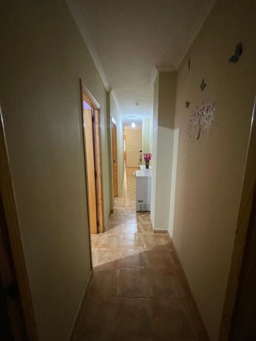 La Caballusa Vinalopó Mitjà lägenhet foto 6223618