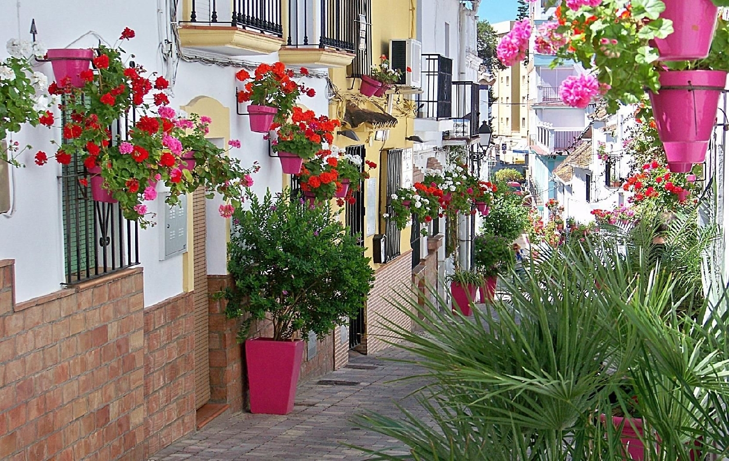  till salu lägenhet La Mairena Costa Del Sol Occidental 30