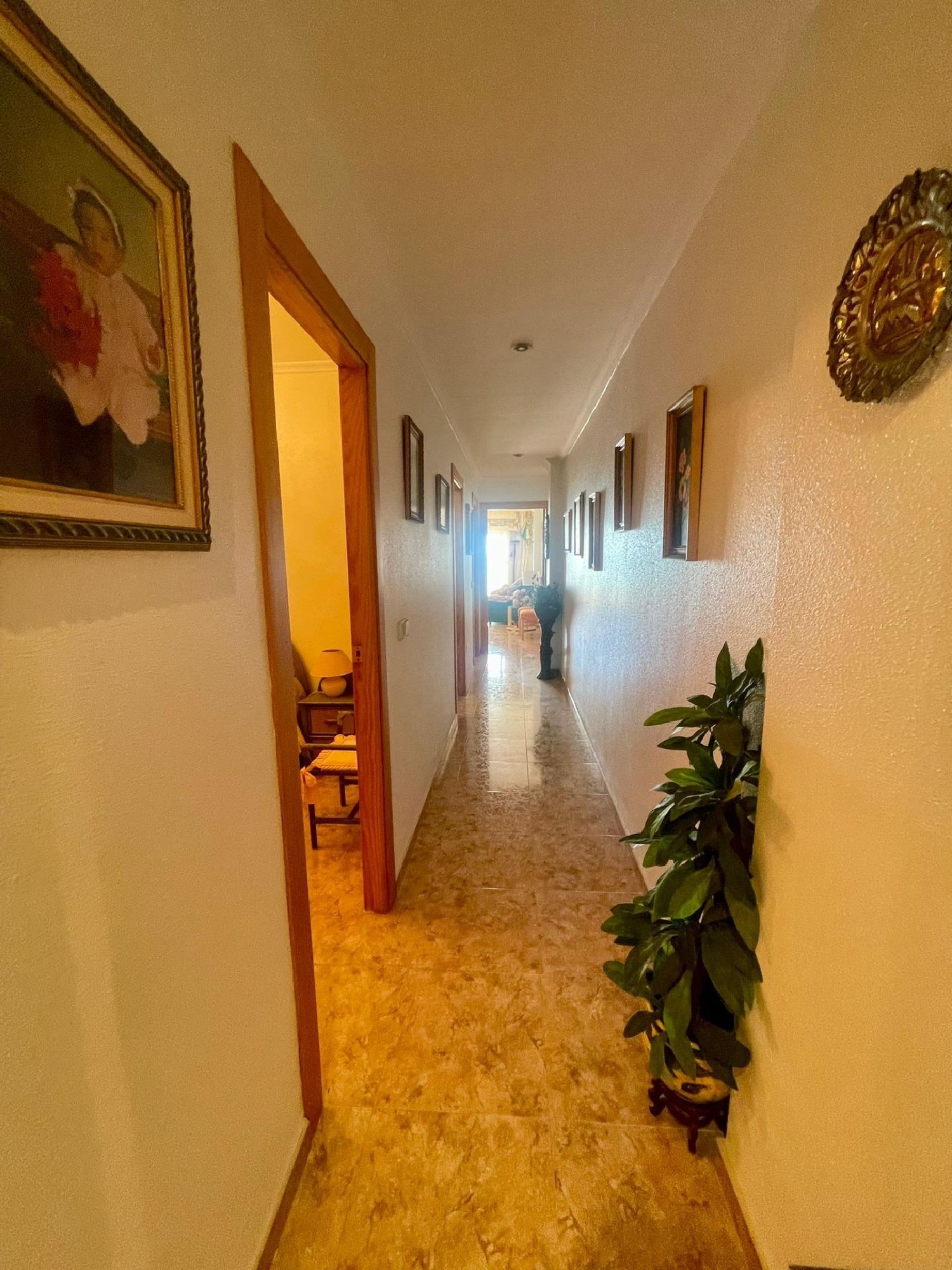  till salu lägenhet Cabo Cervera-Playa La Mata Baix Segura 16