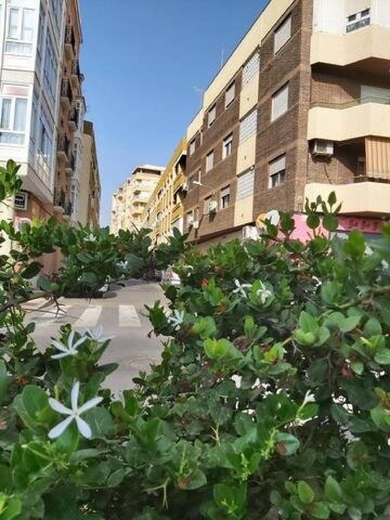for sale apartment Oliveros-Altamira-Nueva Andalucía-Regiones Comarca Metropolitana De Almería 3