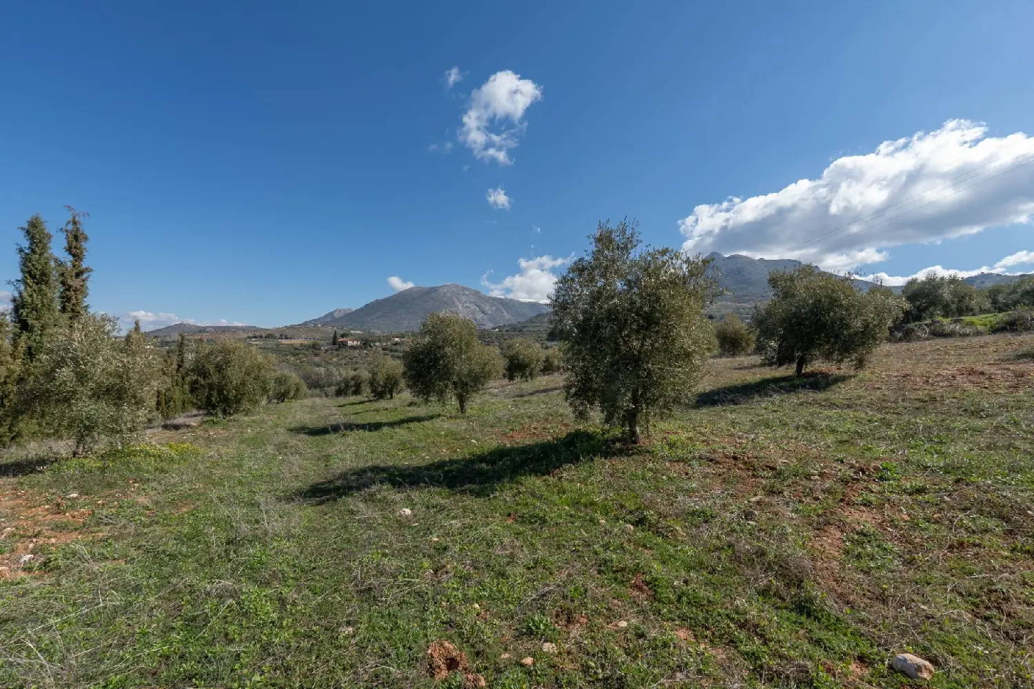  till salu lägenhet Lancha Del Genil Vega De Granada 1