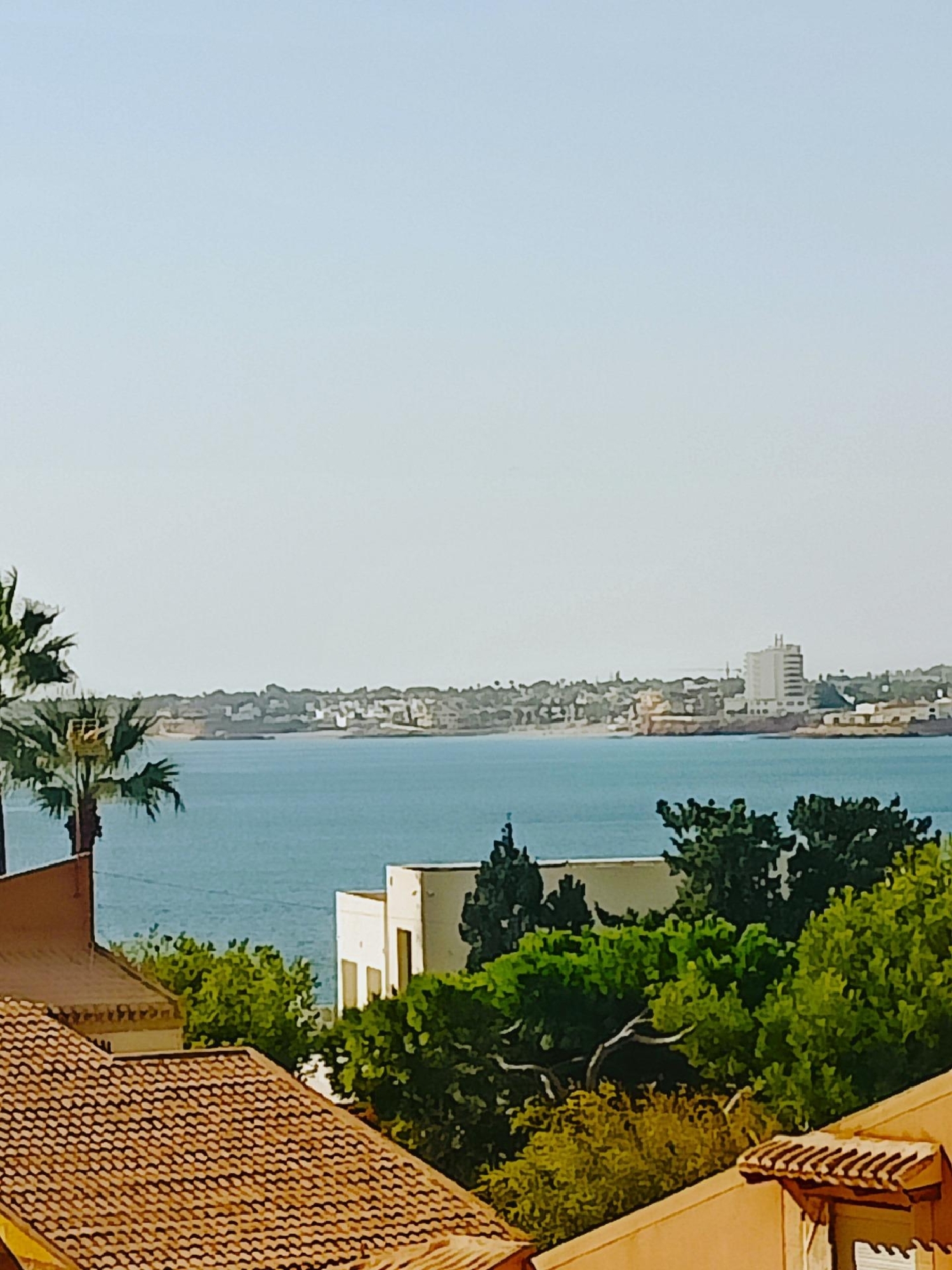  till salu lägenhet Las Mimosas Baix Segura 7