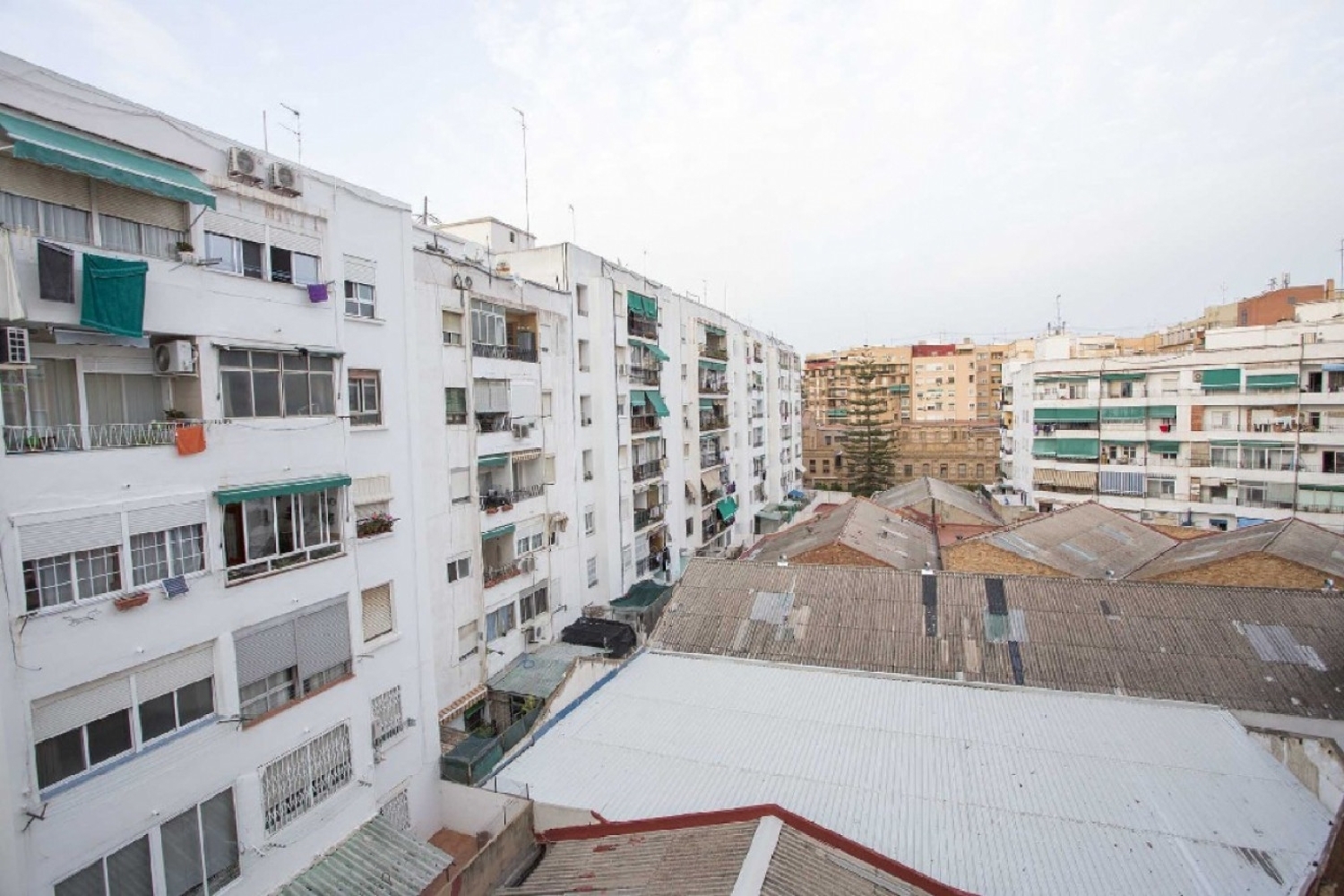 till salu lägenhet L'olivereta Nou Moles Valencia 8