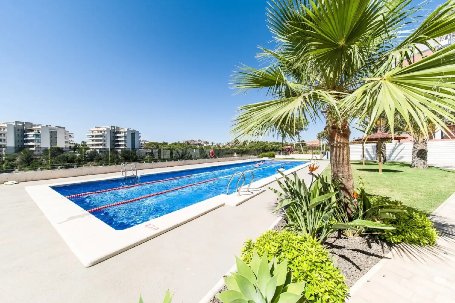 en venta apartamento Pilar De La Horadada Baix Segura 1