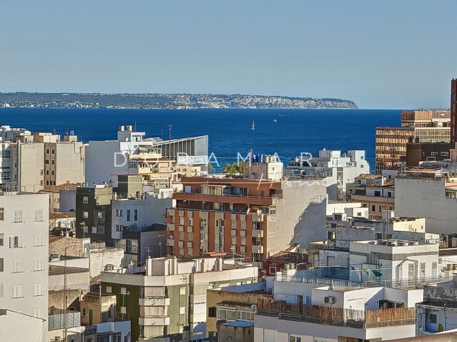  kaufen Wohnung Palma Casco Antiguo 07001 Palma 2