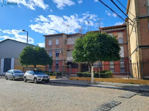 Palma Del Rio Valle Medio Del Guadalquivir lägenhet foto 6210417