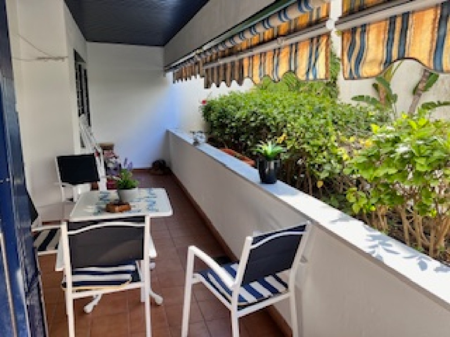 for sale apartment Estepona Costa Del Sol Occidental 2