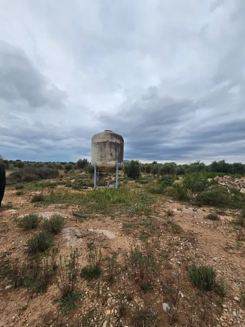 Sant Carles De La Ràpita Montsià lägenhet foto 6207918