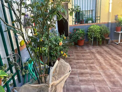 Los Gallos Campo De Cartagena lägenhet foto 6206508