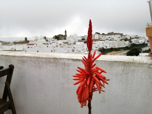 Parralejo Janda (La) lägenhet foto 6224904