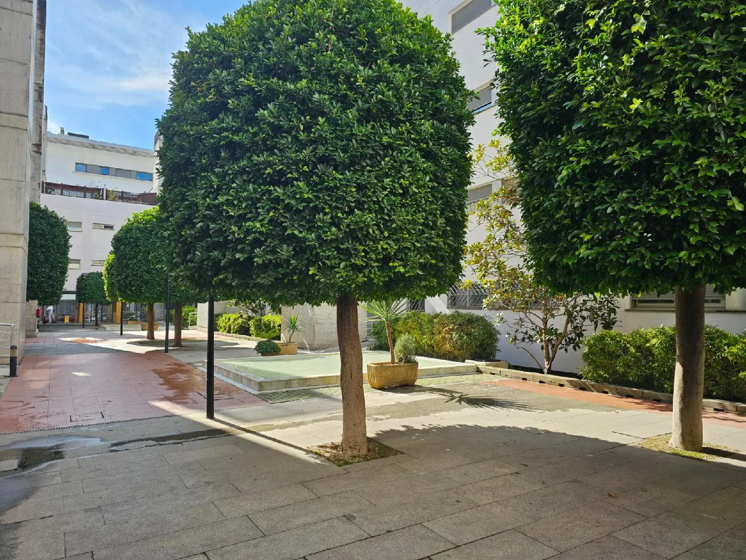  till salu lägenhet Huerta De La Reina Córdoba 2