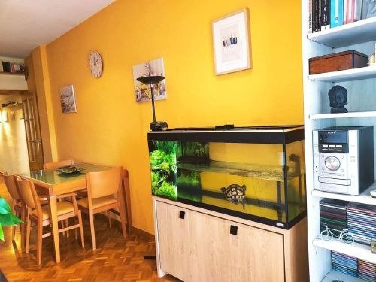  à vendre appartement Manent Maresme 4