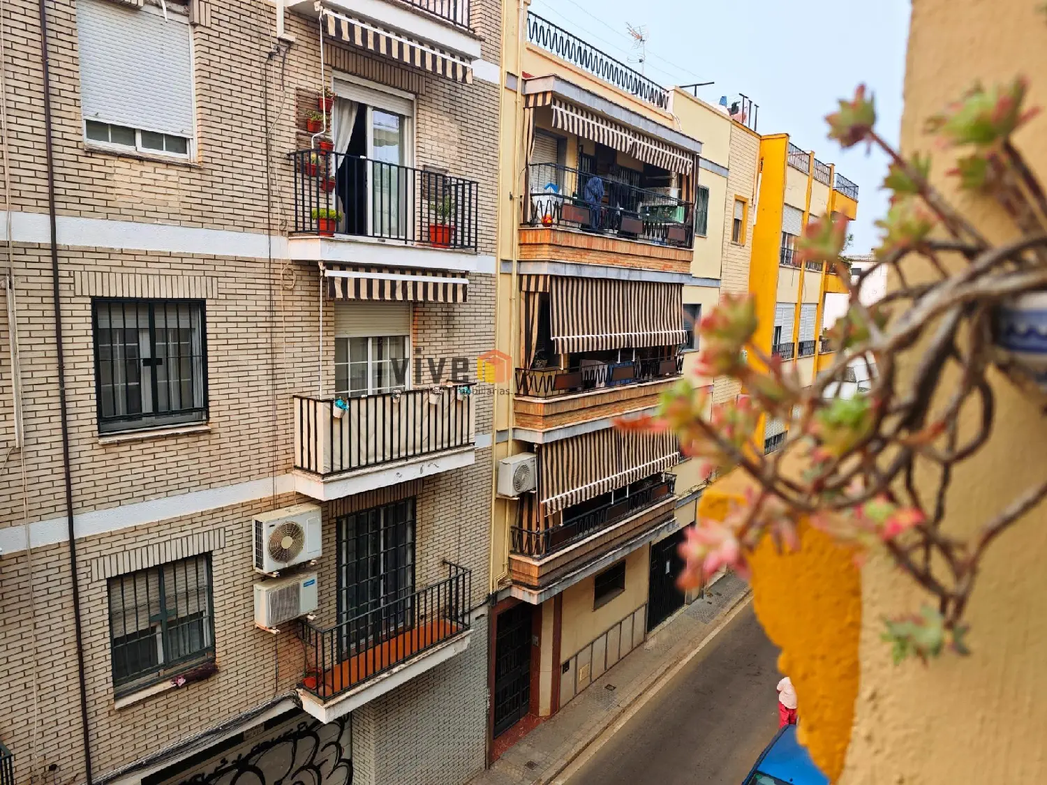  till salu lägenhet Sevilla Casco Antiguo 41002 Metropolitana De Sevilla 7