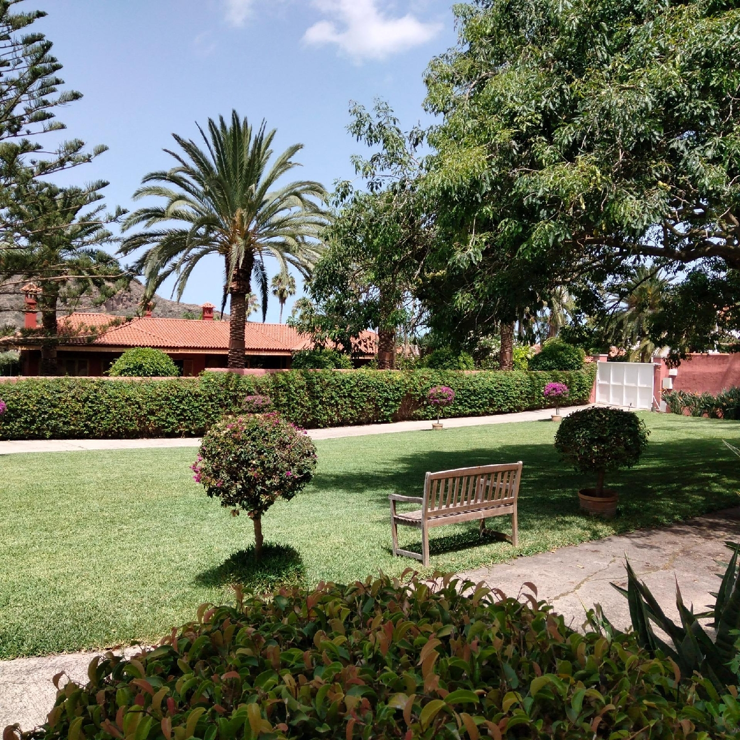  till salu lägenhet La Cantera Palmas De Gran Canaria (Las) 4