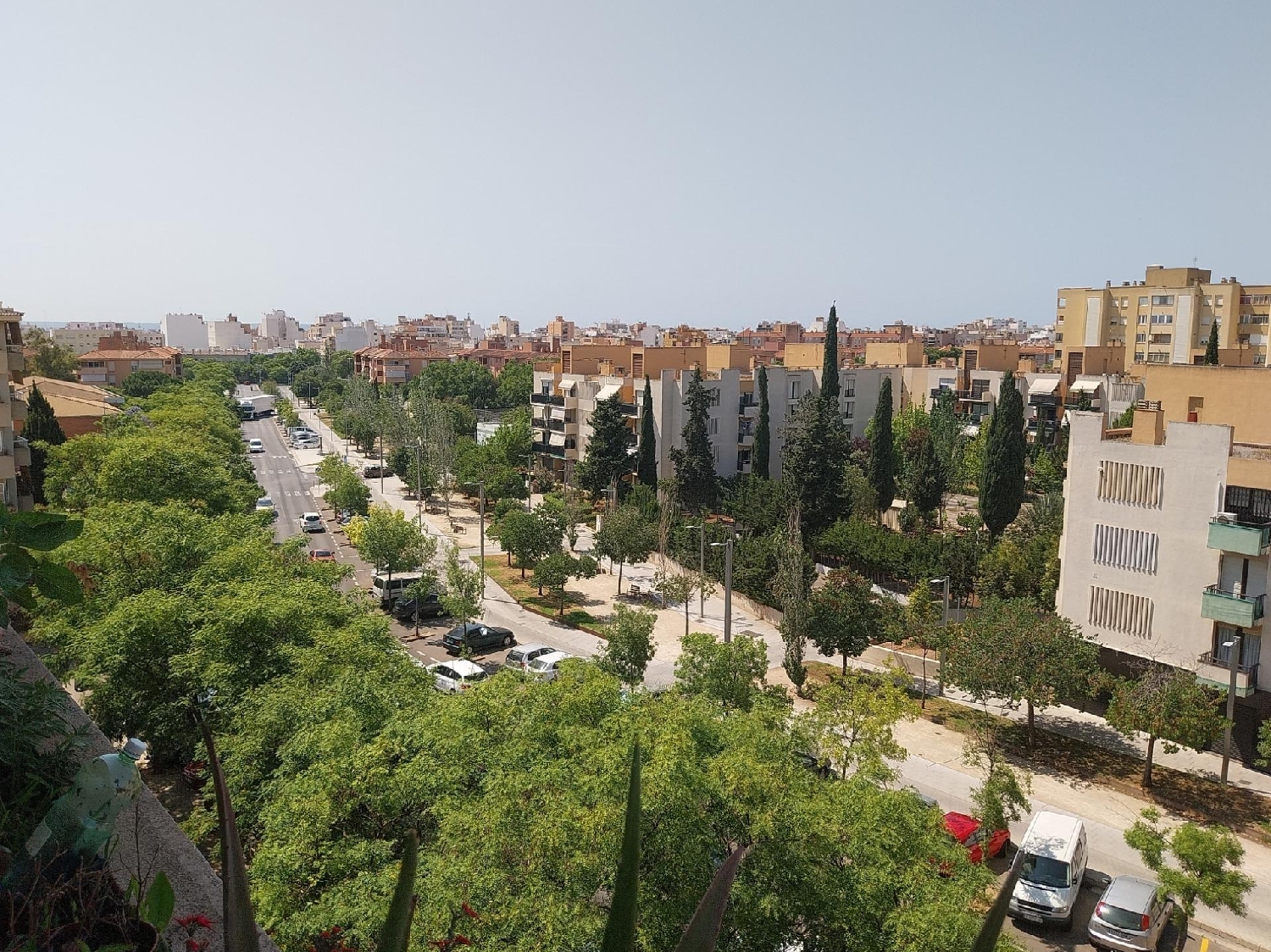  en venta apartamento Eusebio Estada Palma 1