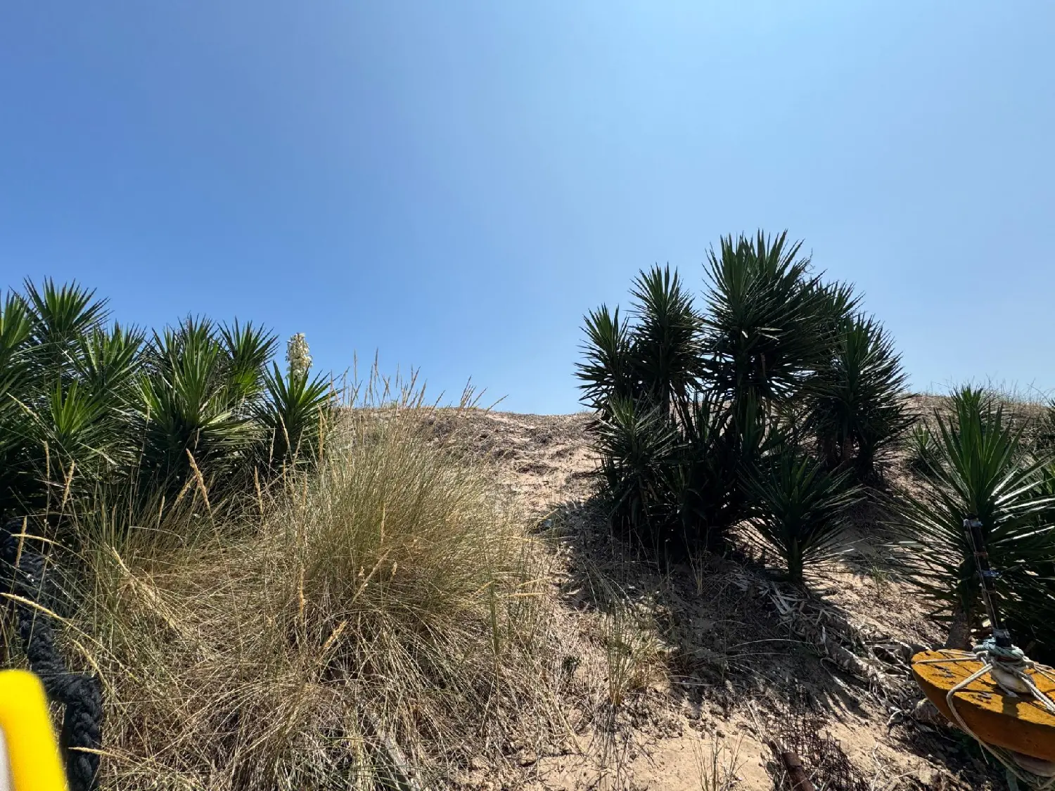  till salu lägenhet Platja De Tavernes De La Valldigna Safor 5