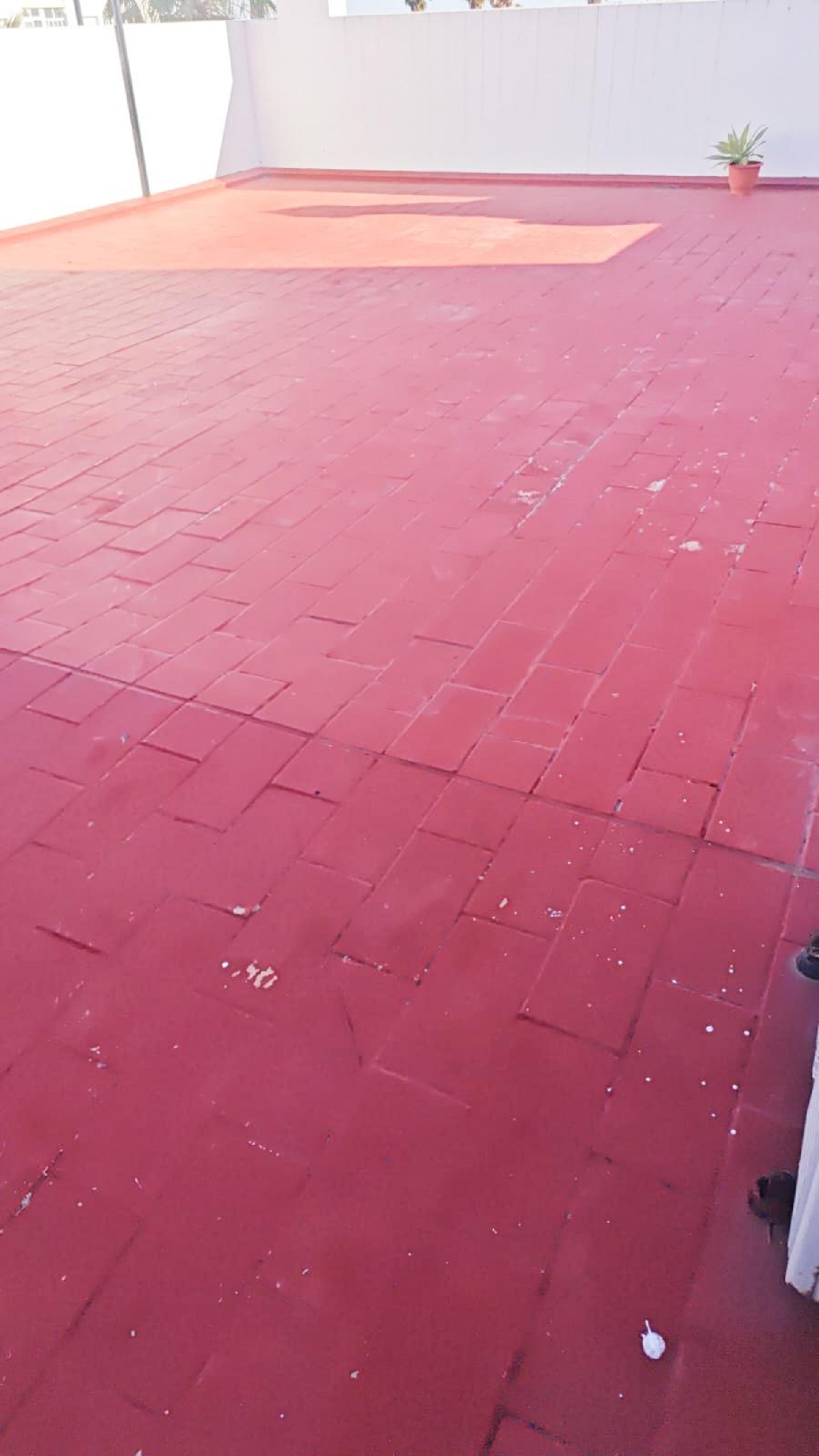 till salu lägenhet Torre Alta Bahía De Cádiz 2