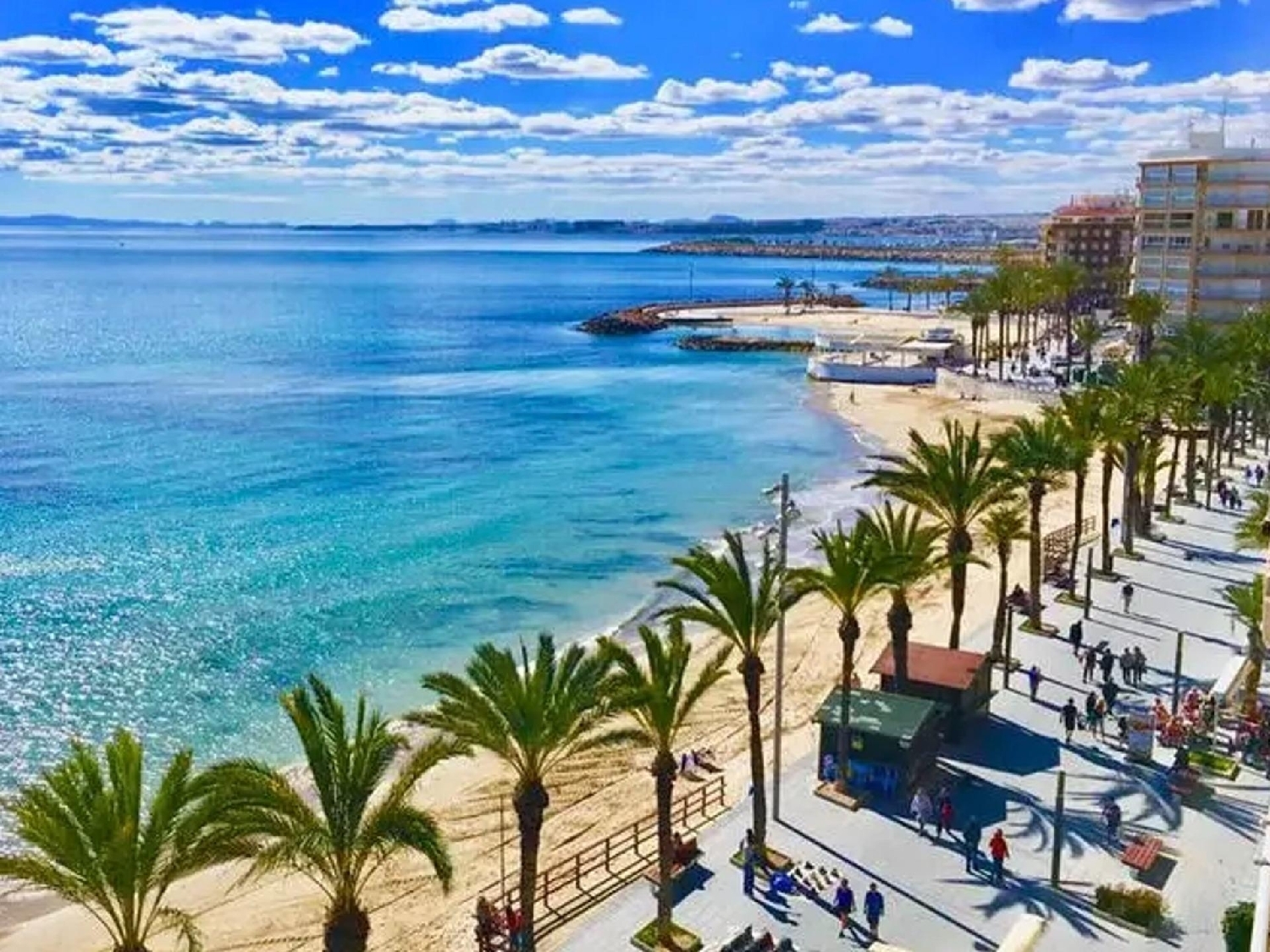  till salu lägenhet Torrevieja Baix Segura 24
