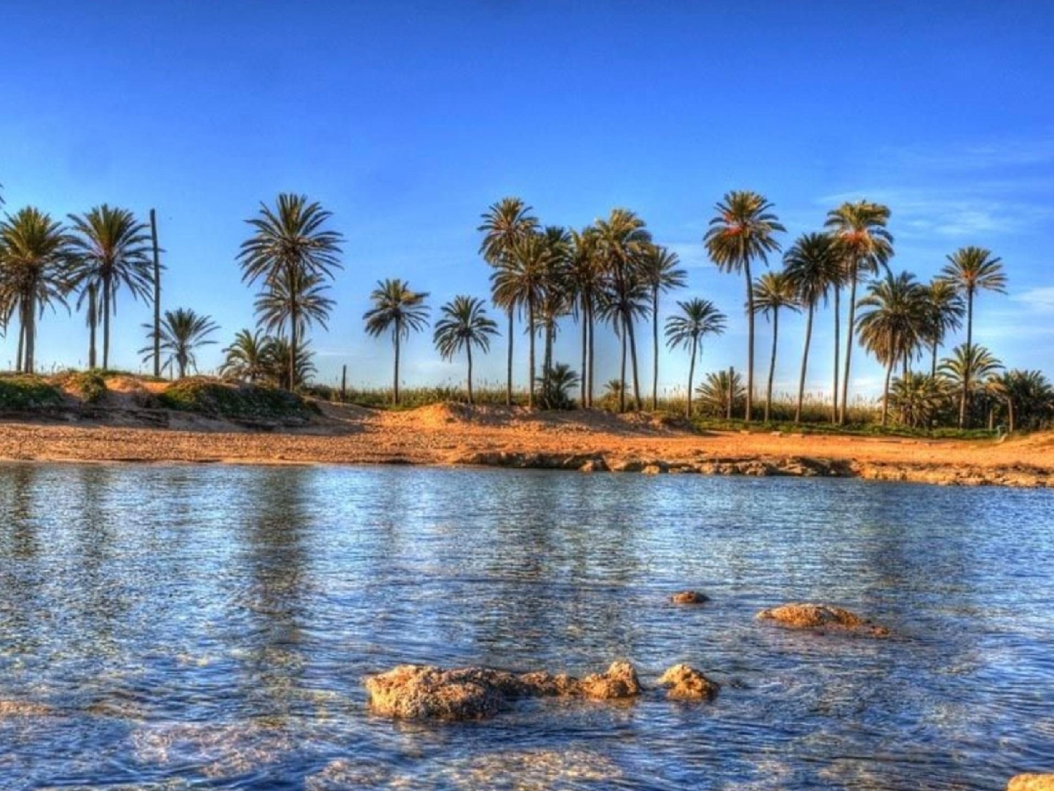  till salu lägenhet Torrevieja Baix Segura 22