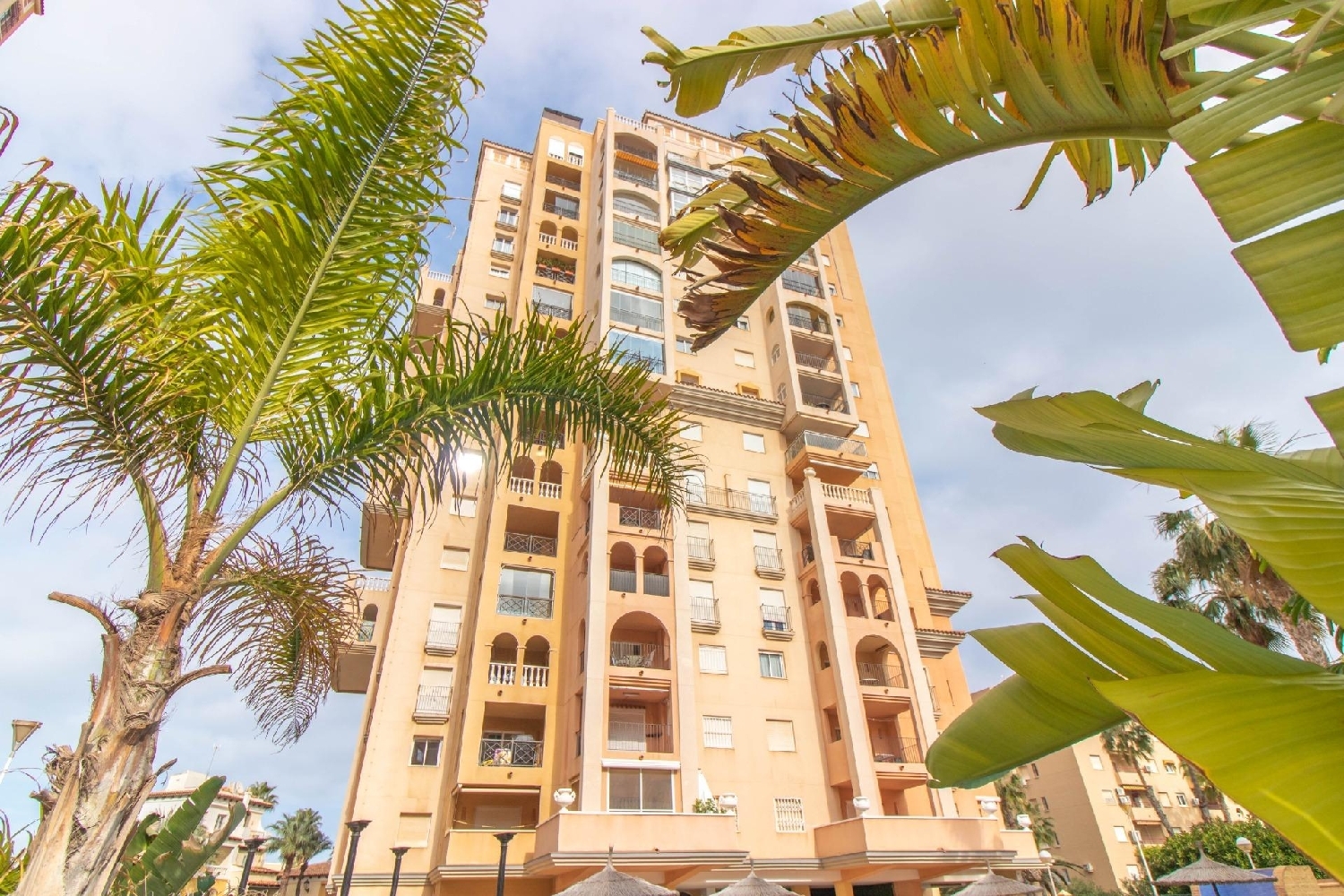  till salu lägenhet Torrevieja Baix Segura 29