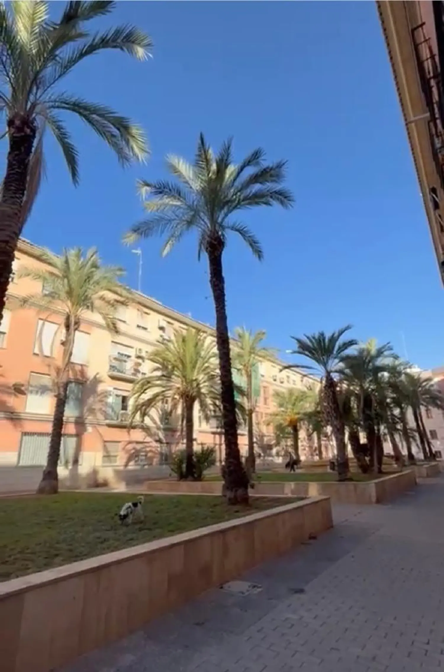 till salu byggnad Ciutat Vella La Xerea Valencia 2