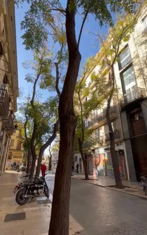 Ciutat Vella La Xerea Valencia byggnad foto 6174672