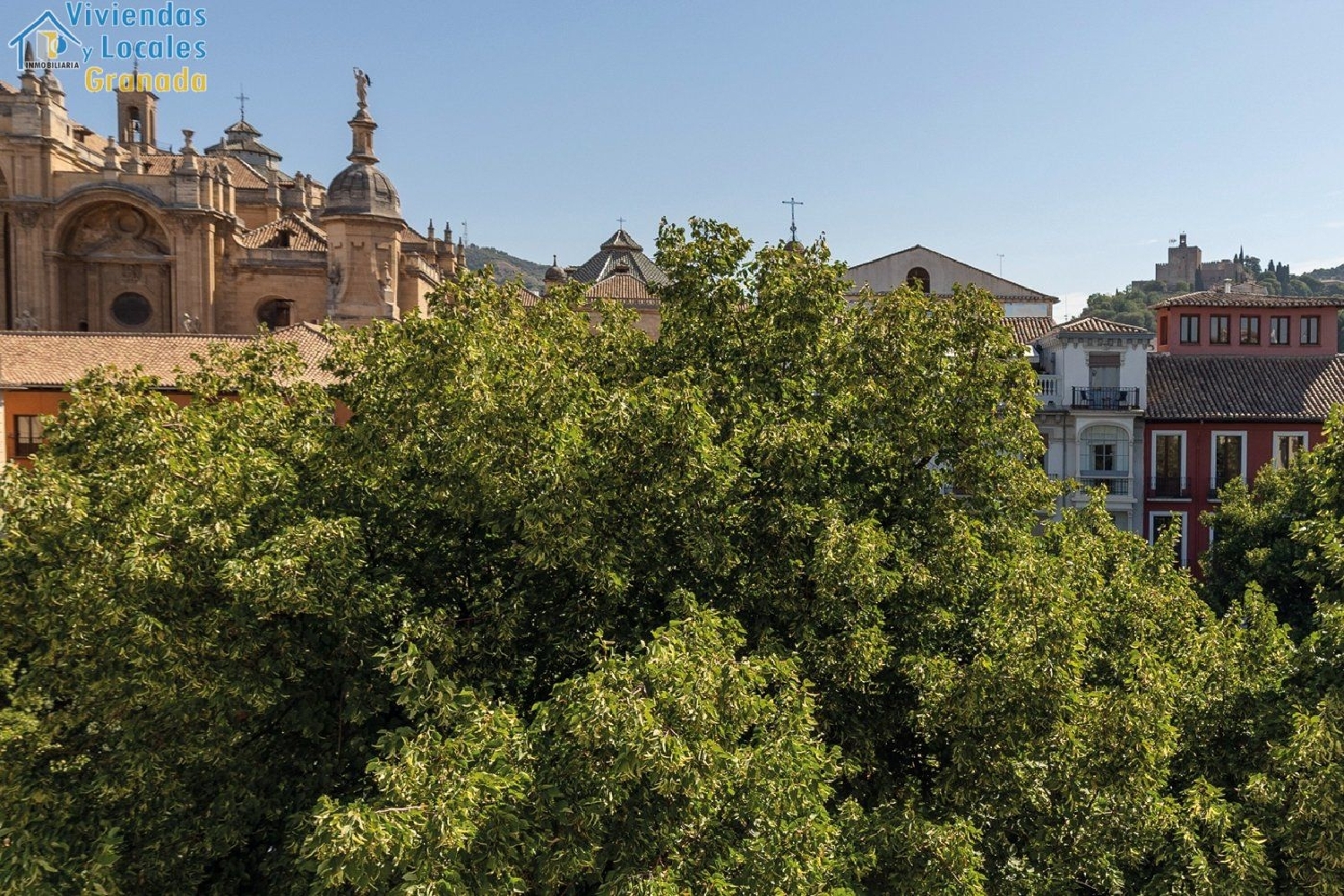 till salu byggnad Granada Centro 18001 Vega De Granada 3
