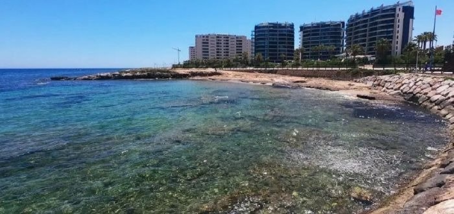  till salu byggnad La Mata Baix Segura 5