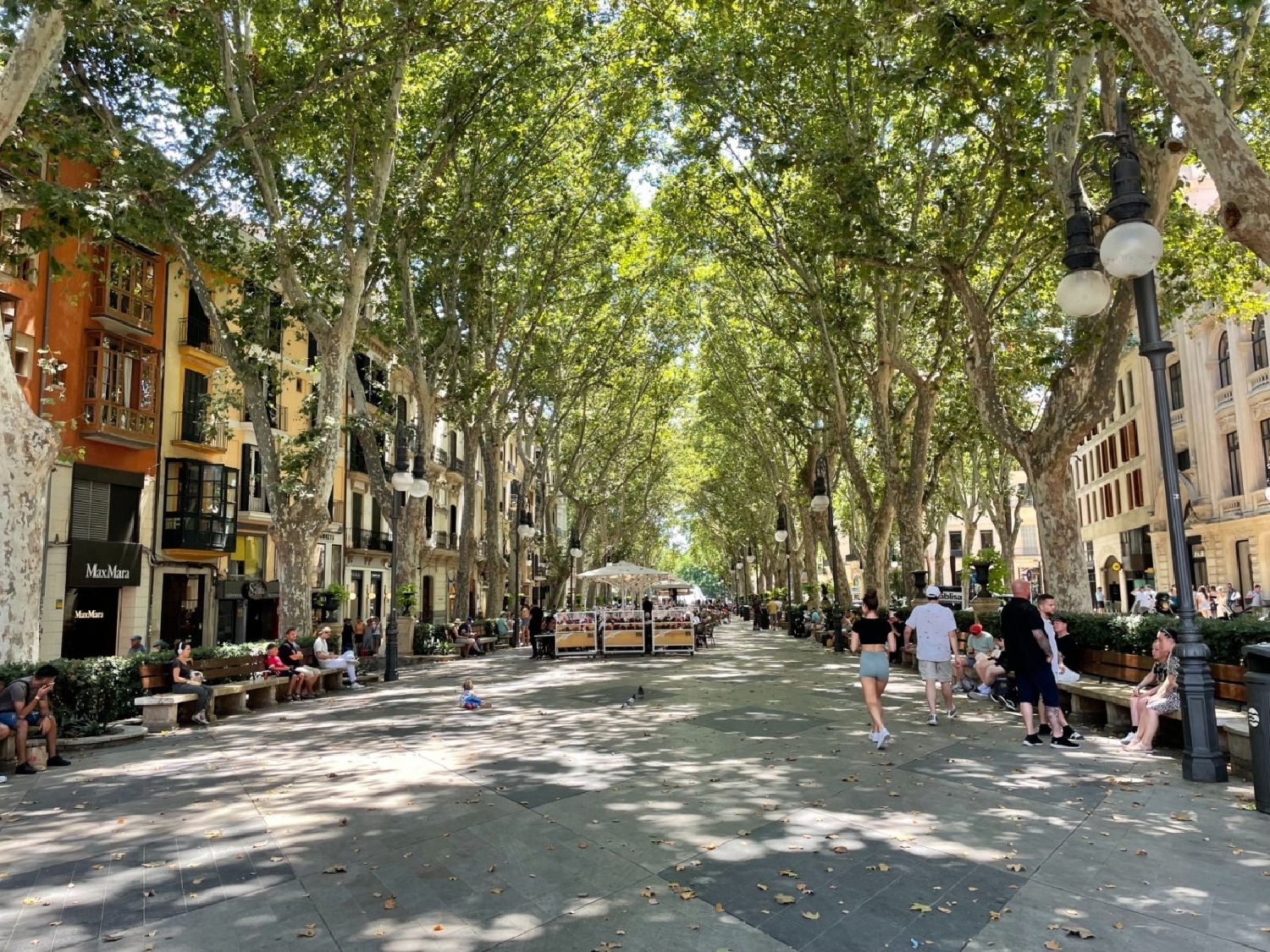  till salu byggnad Palma Casco Antiguo 07001 Palma 2