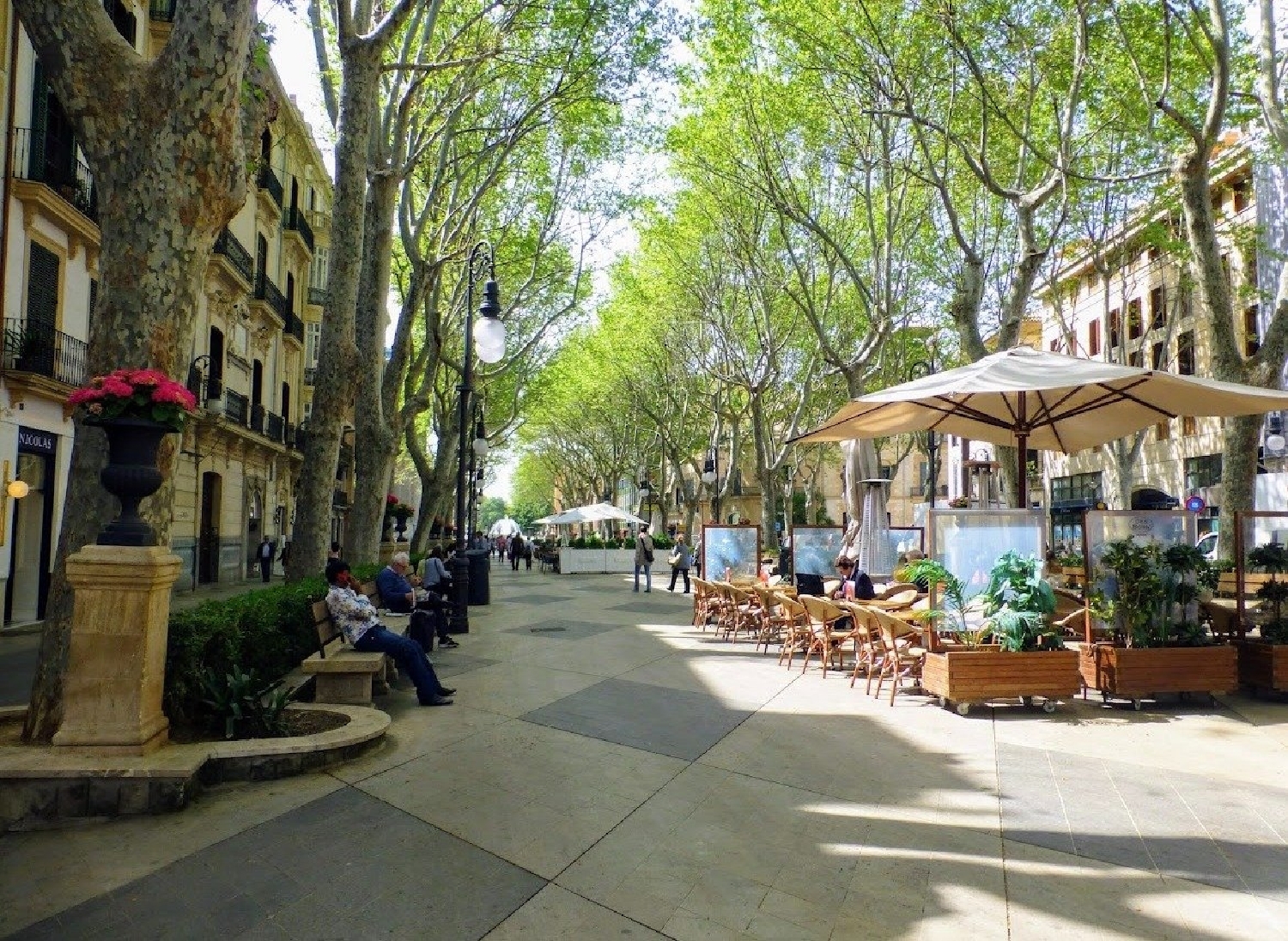  till salu byggnad Palma Casco Antiguo 07001 Palma 4