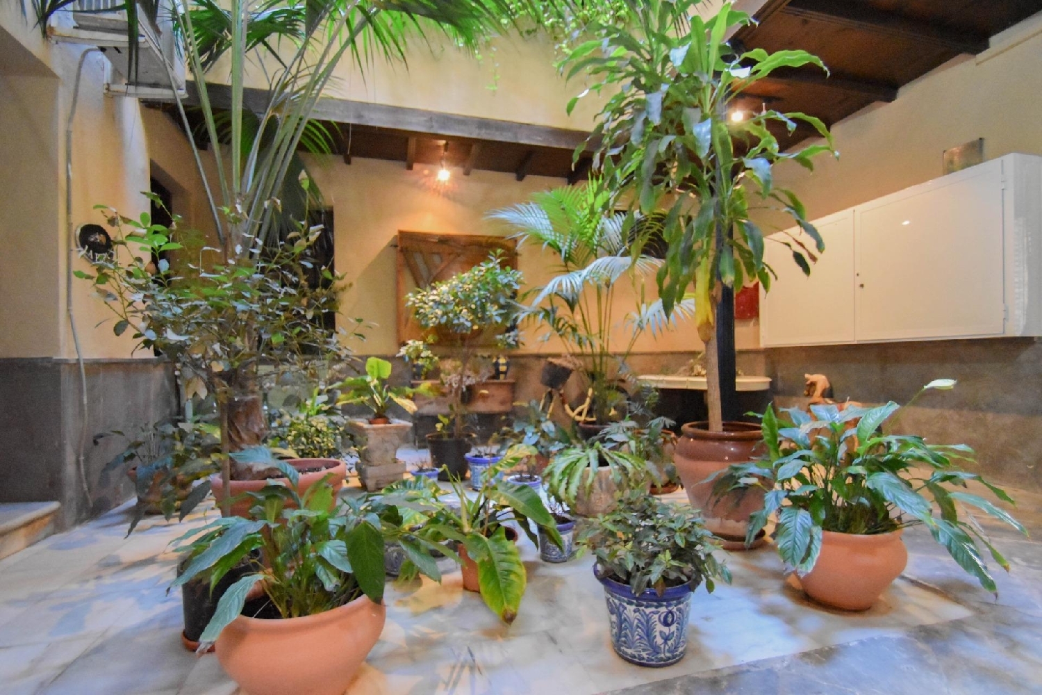  till salu byggnad Almuñécar Costa Tropical 5