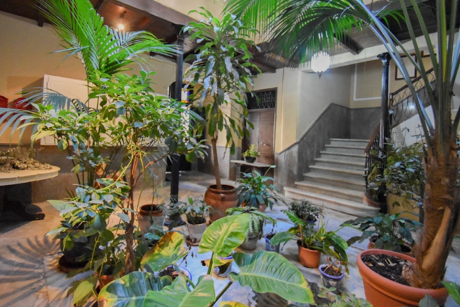  till salu byggnad Almuñécar Costa Tropical 4