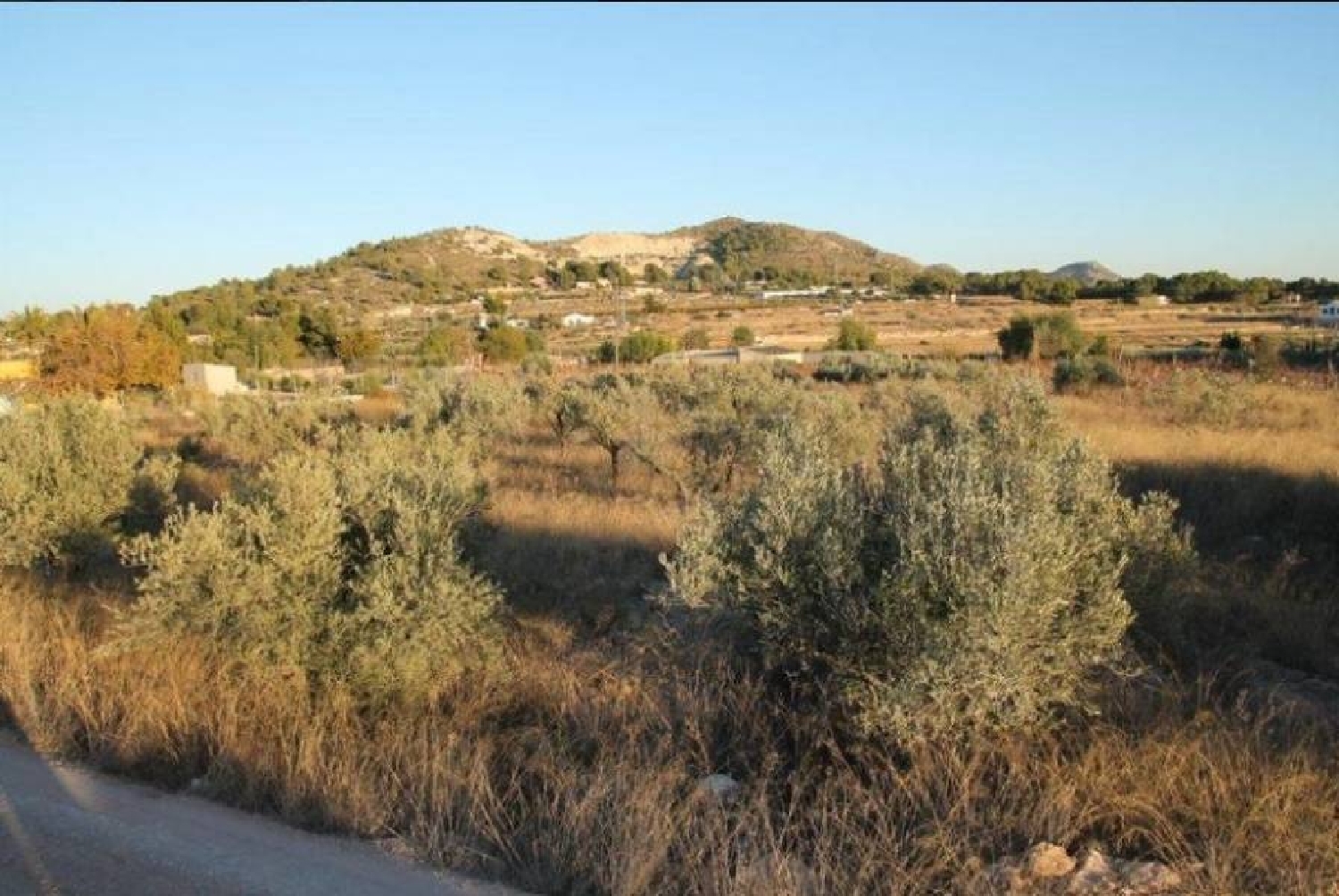 till salu camping La Romana Vinalopó Mitjà 5