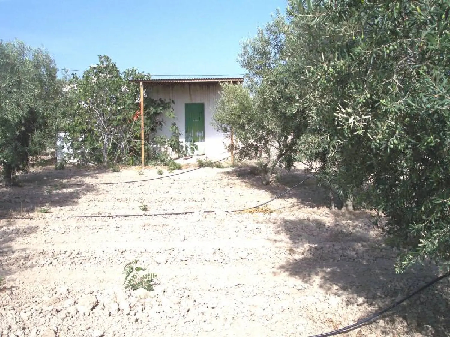  till salu camping Aspe Vinalopó Mitjà 1