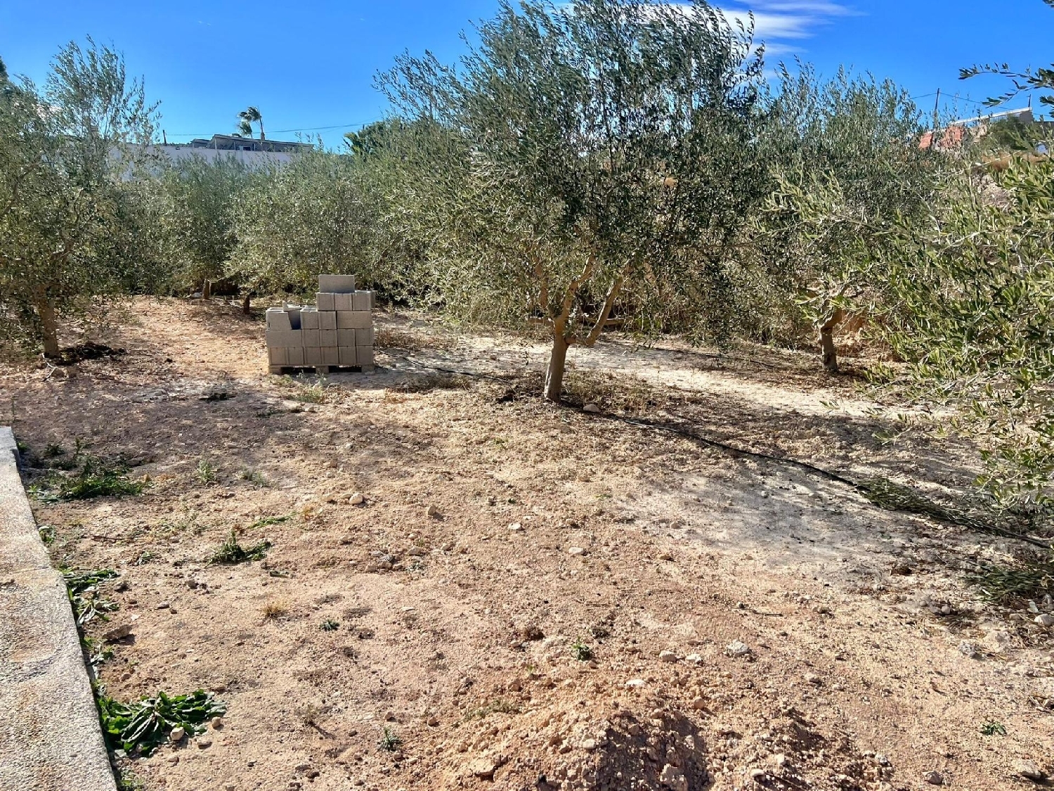 till salu camping Aspe Vinalopó Mitjà 3