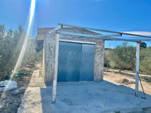 Aspe Vinalopó Mitjà camping foto 6226843