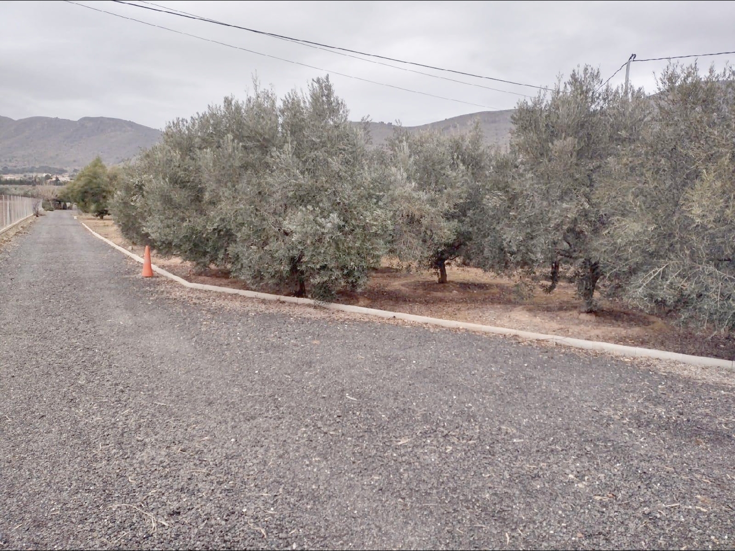  till salu camping Poligono Industrial Bajo Sombra Vinalopó Mitjà 4