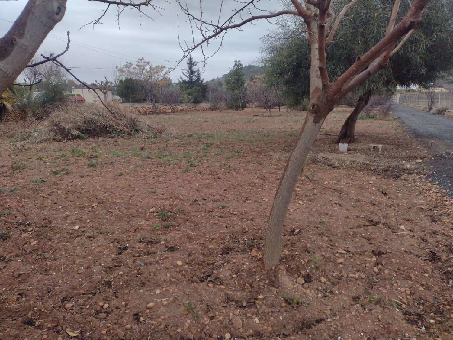  till salu camping Poligono Industrial Bajo Sombra Vinalopó Mitjà 6