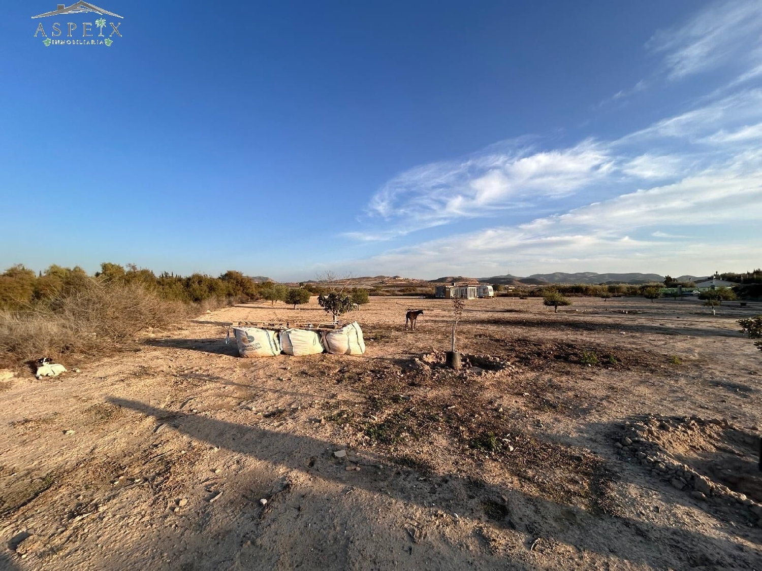  till salu camping Novelda Vinalopó Mitjà 7