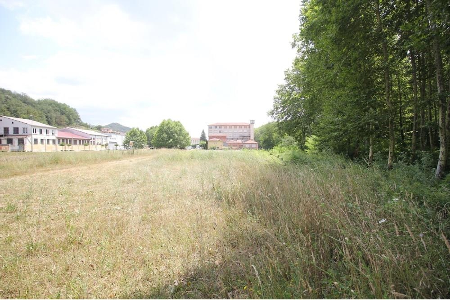 till salu kommersiell Bastons Garrotxa 3