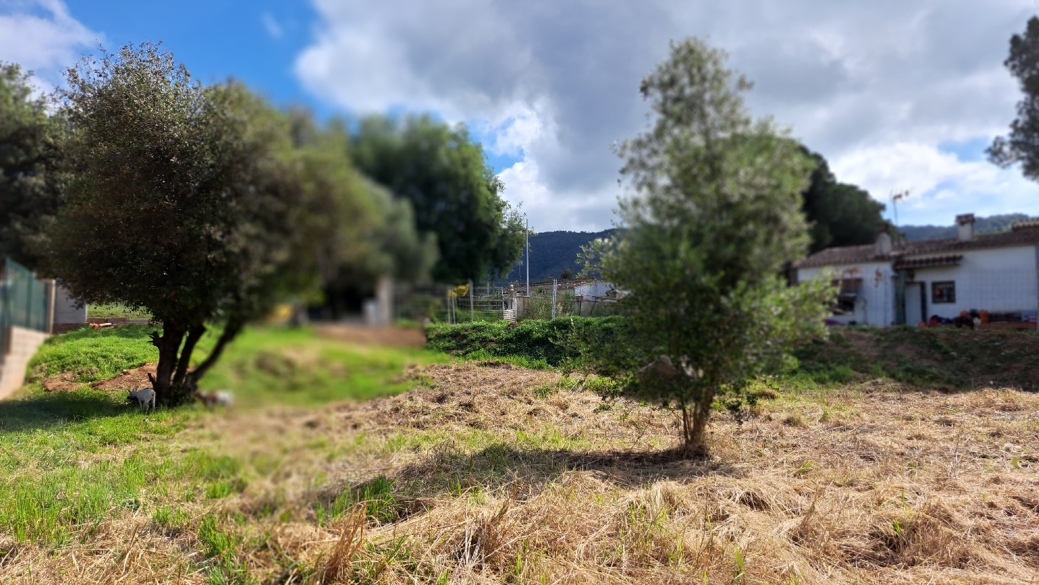  till salu kommersiell Calonge Baix Empordà 4