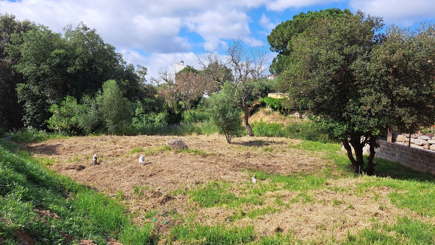 till salu kommersiell Calonge Baix Empordà 2